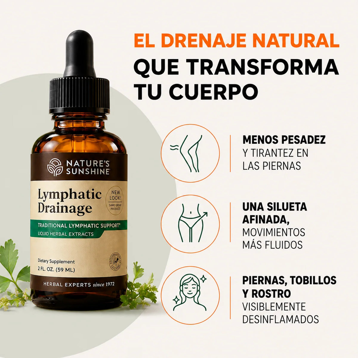 Lymphatic Drainage: Elimina Lo Que Tu Cuerpo Ya No Necesita. 🧘🏻