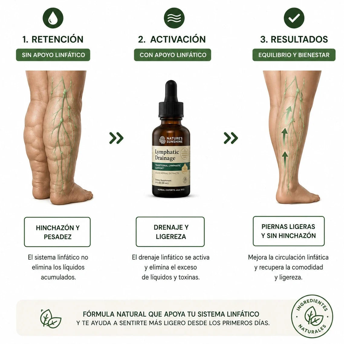 Lymphatic Drainage: Elimina Lo Que Tu Cuerpo Ya No Necesita. 🧘🏻