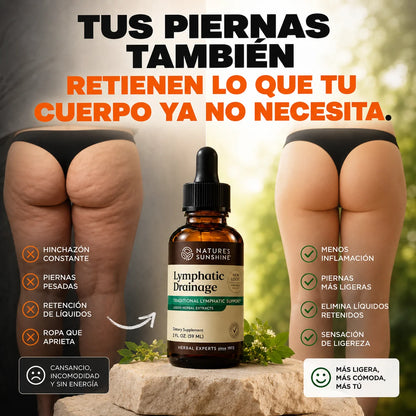 Lymphatic Drainage: Elimina Lo Que Tu Cuerpo Ya No Necesita. 🧘🏻