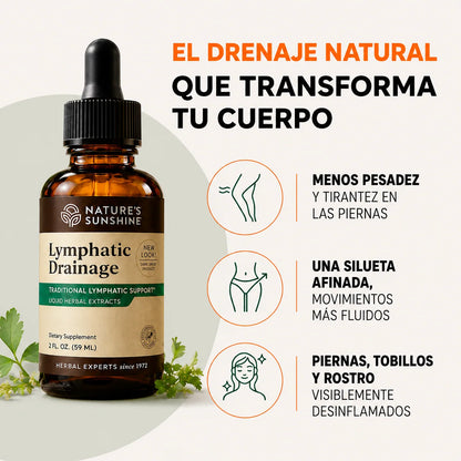 Lymphatic Drainage: Elimina Lo Que Tu Cuerpo Ya No Necesita. 🧘🏻